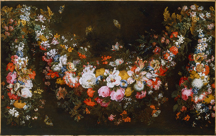 Anonimo — Volò Giuseppe (Vicenzino) - sec. XVII/ XVIII - Festone di fiori con farfalle — insieme